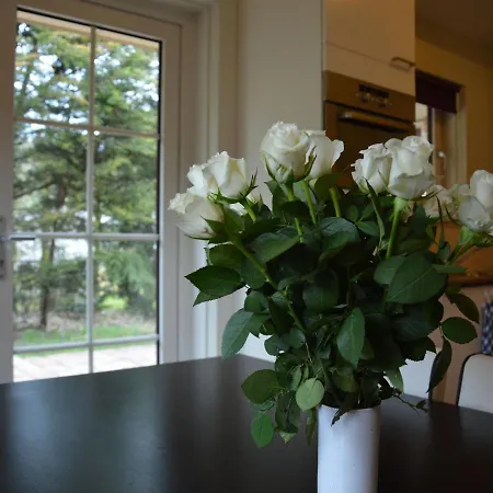 Holiday Home In The Veluwe In Nature Holiday home *