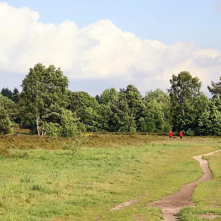 In The Veluwe In Nature Putten