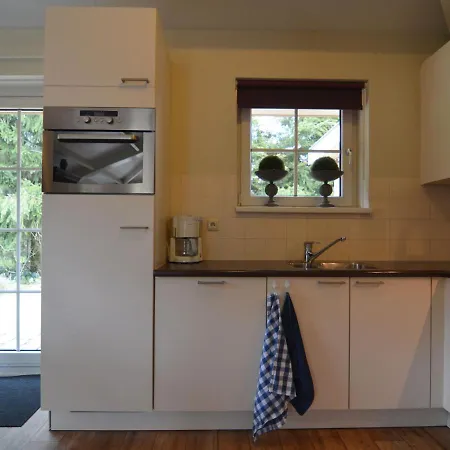 In The Veluwe In Nature *