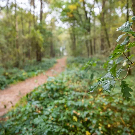 Holiday Home In The Veluwe In Nature * Putten