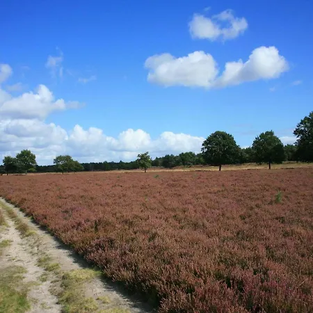 In The Veluwe In Nature Dom wakacyjny Putten