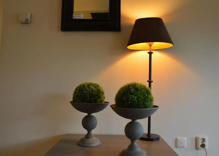 In The Veluwe In Nature بوتِنْ