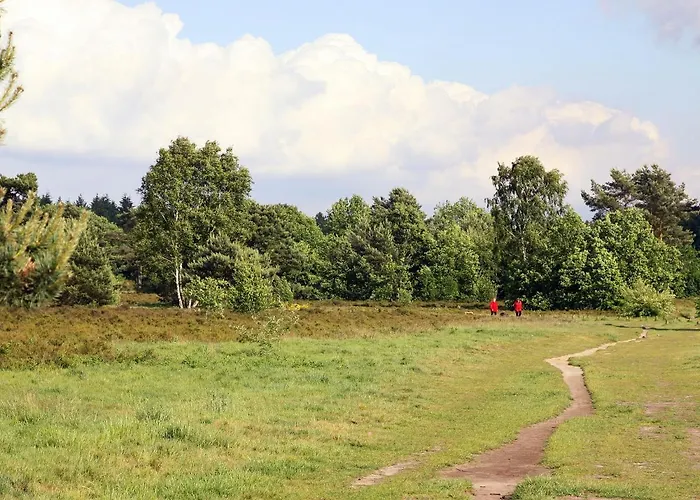 In The Veluwe In Nature بوتِنْ
