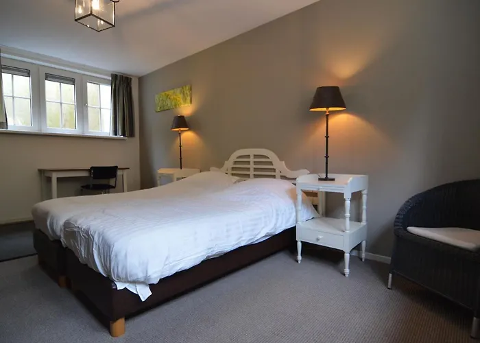 In The Veluwe In Nature