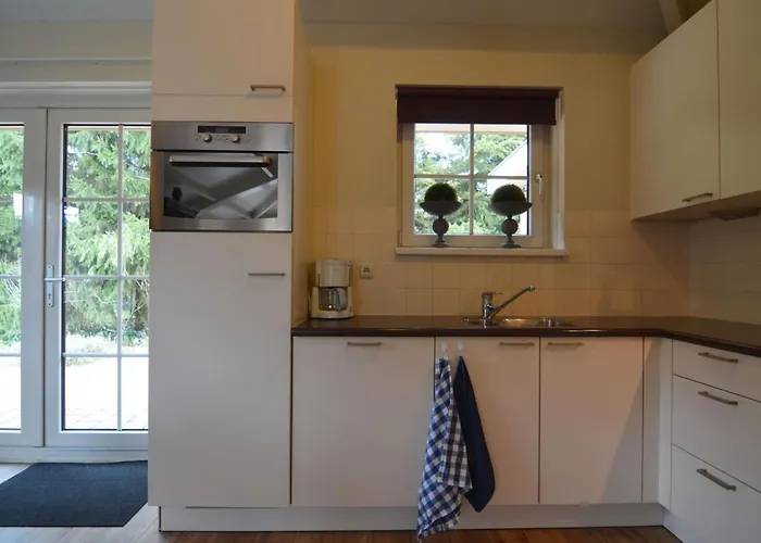 In The Veluwe In Nature *