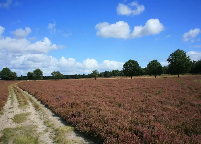 In The Veluwe In Nature بيت للعطل بوتِنْ