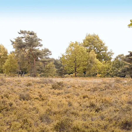 In The Veluwe In Nature