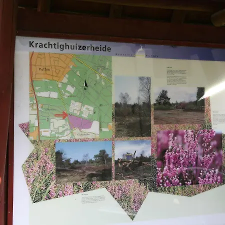 Vakantiehuis In The Veluwe In Nature Putten